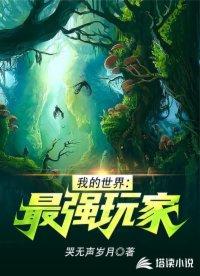 我的世界:最强玩家