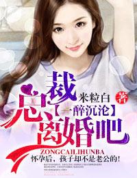 一醉沉沦·总裁,离婚吧!