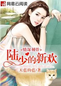 情深刻骨:陆少的新欢