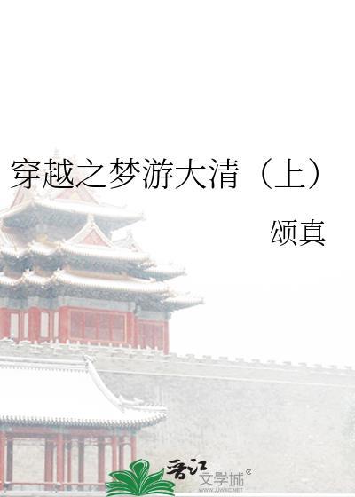 穿越之梦游大清(上)