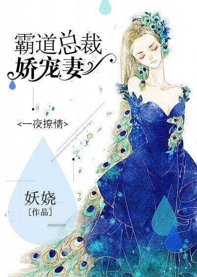 一夜撩情:霸道总裁娇宠妻