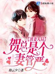 诱妻入局:贺总是个妻管严
