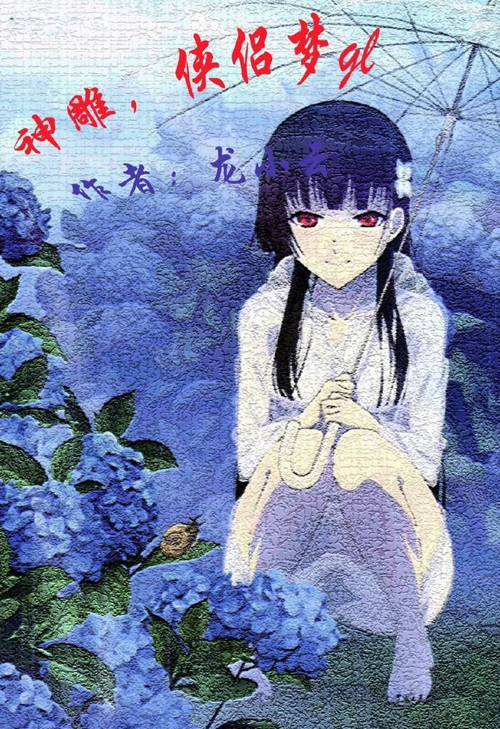 神雕,侠侣梦