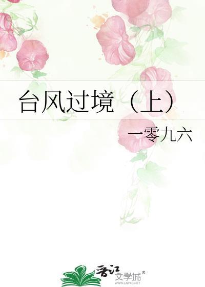 臺风过境（上）