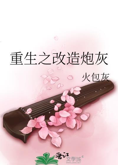 重生之改造炮灰