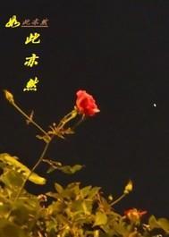 如此亦然