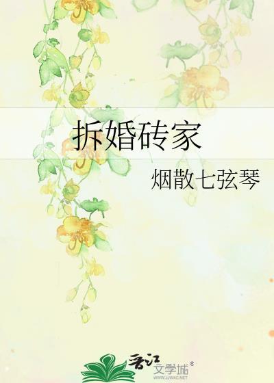 拆婚砖家