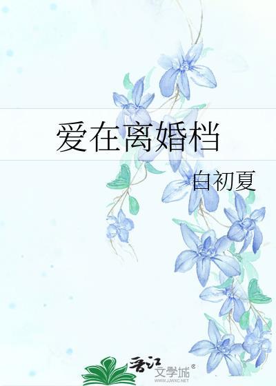 爱在离婚檔