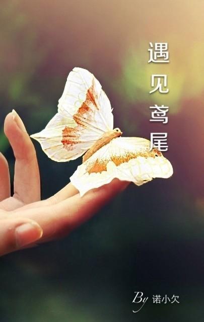 遇见鸢尾