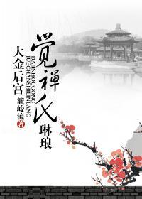 大金后宫——觉禅氏琳琅