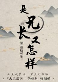 是兄长又怎么样(NPH,伪骨科)