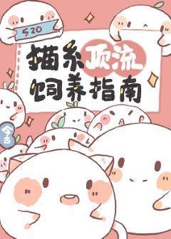 猫系顶流饲养指南