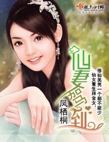 仙妻驾到