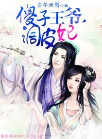 傻子王爷,调皮妃
