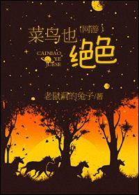 菜鸟也绝色