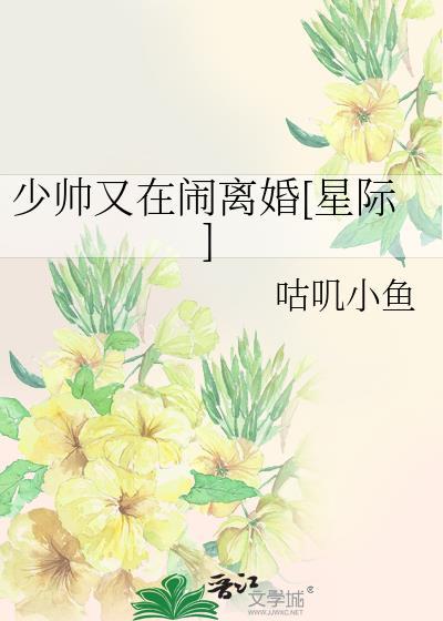 少帅又在闹离婚[星际]
