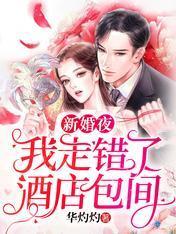 新婚夜,我走错了酒店包间