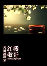 红楼-敬哥