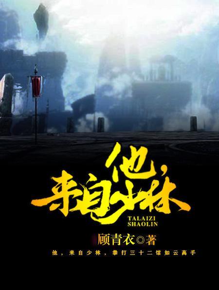 他,来自少林