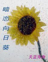 暗恋向日葵