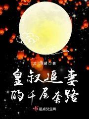 皇叔追妻的千层套路