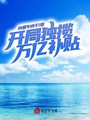 开局独揽万亿补贴