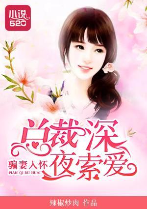 骗妻入怀:总裁深夜索爱