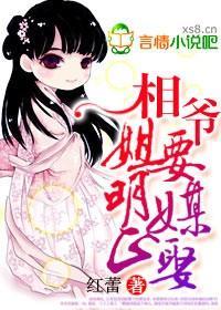 相爷,姐要明媒正娶!