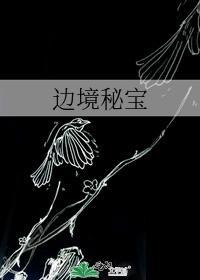 边境秘宝