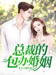 白木岚陆昊风