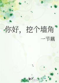 你好,挖个墻角