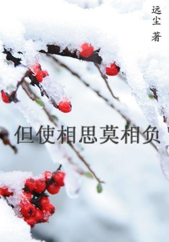 但使相思莫相负