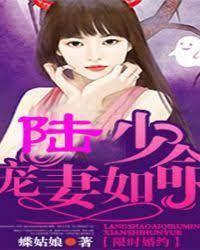 限时婚约,陆少宠妻如命