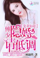 宠妻如命:傅少,隐婚请低调洛南初傅庭渊