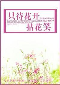 只待花开拈花笑