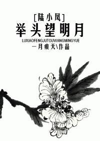 举头望明月