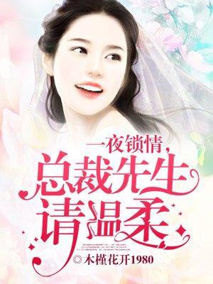 一夜锁情,总裁先生请温柔