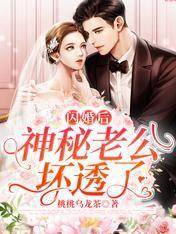 闪婚后,神秘老公坏透了