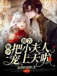 报告:靳少把小夫人宠上天啦