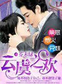 独家婚宠,总裁的再婚甜妻