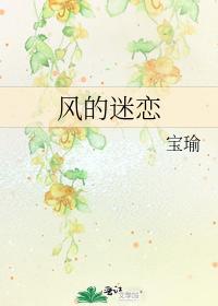 风的迷恋