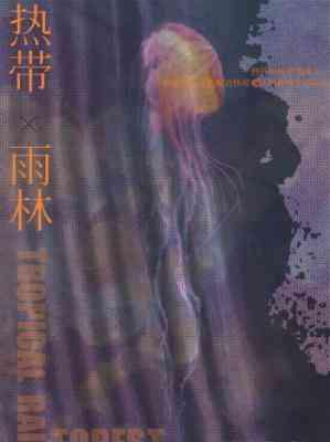 热带雨林