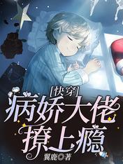 快穿:病娇大佬撩上瘾