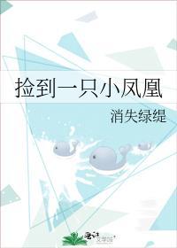 捡到一只小凤凰
