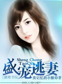 盛宠逃妻