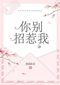 你别招惹我
