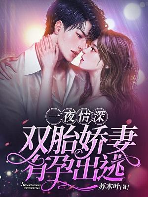 一夜情深：双胎娇妻，有孕出逃