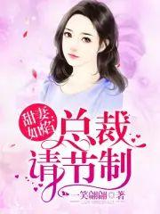 甜妻如焰︰总裁，请节制