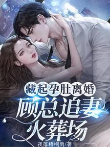藏起孕肚离婚,顾总追妻火葬场
