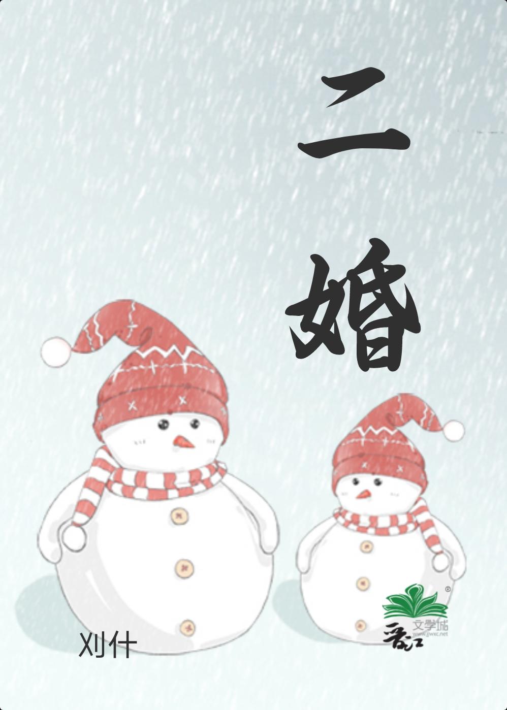 二婚